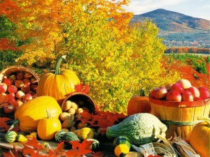 Fall Harvest